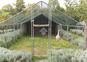 Casa indipendente Località cascinetto, Ciriè - foto 7