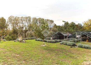 Casa indipendente Località cascinetto, Ciriè - foto 10