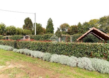 Casa indipendente Località cascinetto, Ciriè - foto 12