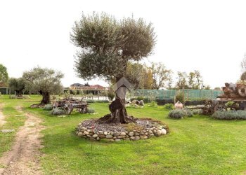 Casa indipendente Località cascinetto, Ciriè - foto 14