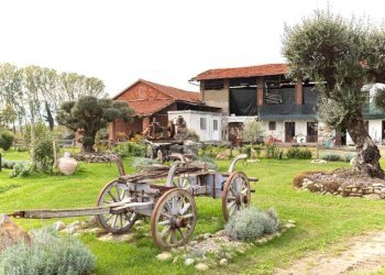 Casa indipendente Località cascinetto, Ciriè - foto 17