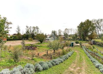 Casa indipendente Località cascinetto, Ciriè - foto 24