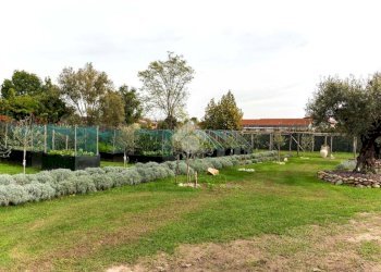 Casa indipendente Località cascinetto, Ciriè - foto 25