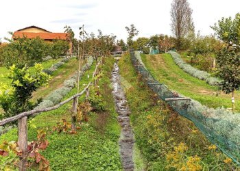 Casa indipendente Località cascinetto, Ciriè - foto 30