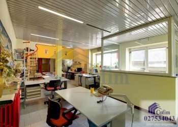 Ufficio Segrate - foto 1