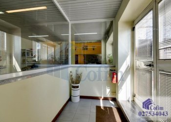 Ufficio Segrate - foto 2