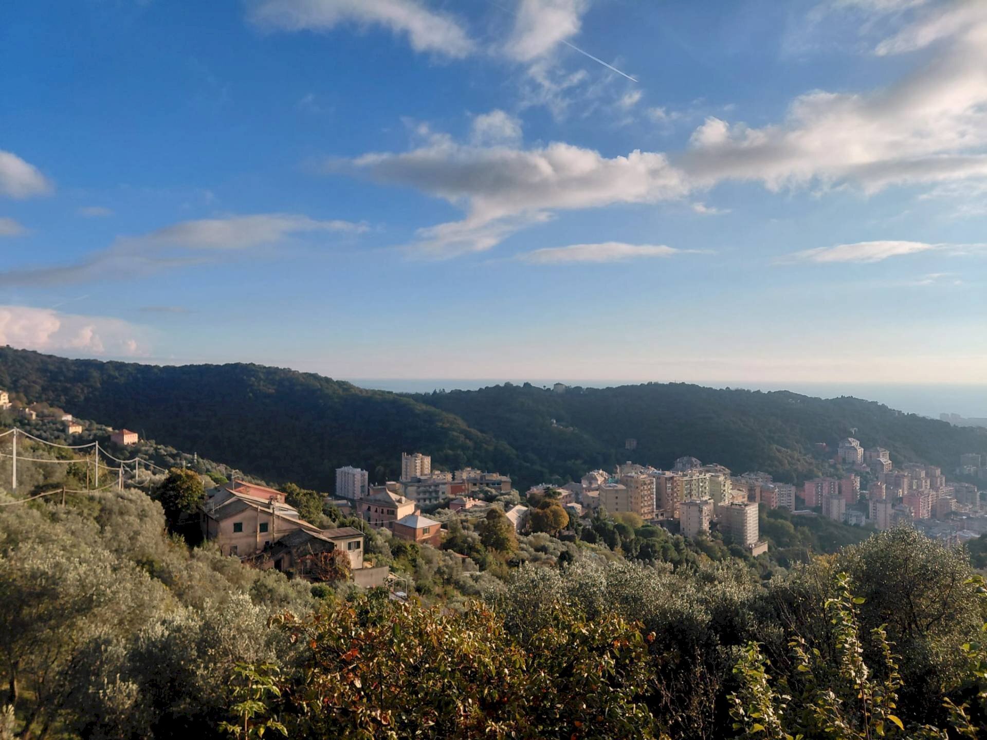 Foto 4 - Casa indipendente VIa Fontanile, Genova - foto 2