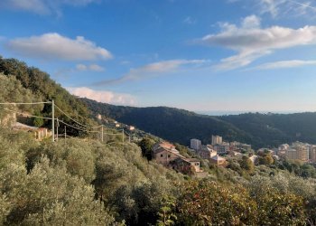 Foto 21 - Casa indipendente VIa Fontanile, Genova - foto 19