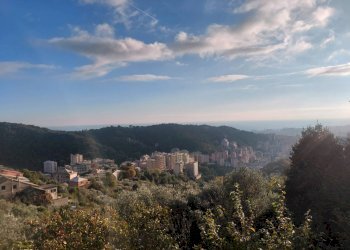 Foto 22 - Casa indipendente VIa Fontanile, Genova - foto 20