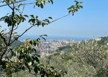 Foto 36 - Casa indipendente VIa Fontanile, Genova - foto 34