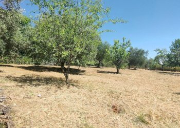 Foto 31 - Rustico strada di crepacuore, Palombara Sabina - foto 31