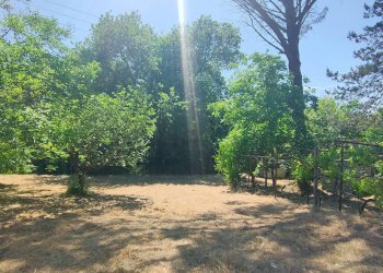 Foto 32 - Rustico strada di crepacuore, Palombara Sabina - foto 32