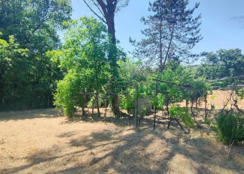 Foto 34 - Rustico strada di crepacuore, Palombara Sabina - foto 34