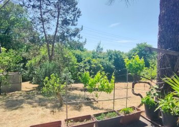 Foto 37 - Rustico strada di crepacuore, Palombara Sabina - foto 37