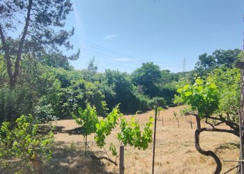 Foto 38 - Rustico strada di crepacuore, Palombara Sabina - foto 38