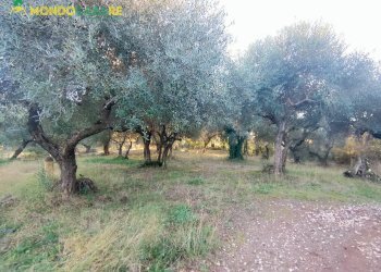 Foto 61 - Independent house via pantana II
 
20, Guidonia Montecelio - photo 61