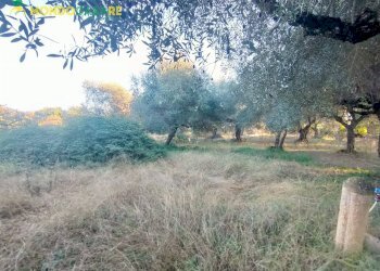 Foto 62 - Independent house via pantana II
 
20, Guidonia Montecelio - photo 62