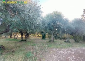 Foto 63 - Independent house via pantana II
 
20, Guidonia Montecelio - photo 63