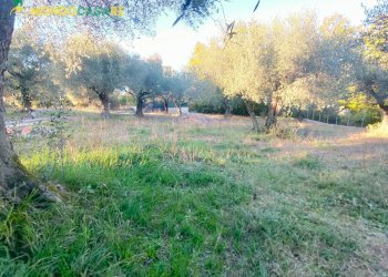 Foto 71 - Independent house via pantana II
 
20, Guidonia Montecelio - photo 71