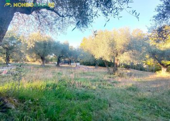 Foto 72 - Independent house via pantana II
 
20, Guidonia Montecelio - photo 72