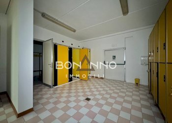 Foto 9 - Locale Commerciale VIA STRAELLE SAN PIETRO
12/H, Camposampiero - foto 9