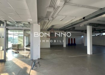 Foto 12 - Locale Commerciale VIA AURELIA
91/B, Loreggia - foto 12