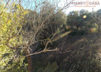 Foto 14 - Independent house Via Vallicella, Colli del Tronto - photo 14