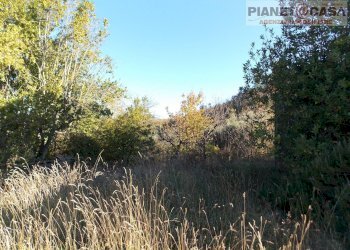 Foto 15 - Independent house Via Vallicella, Colli del Tronto - photo 15