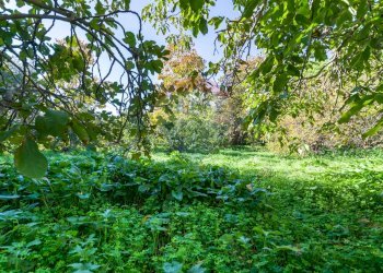 Giardino - Villa Via tre canali
 
38, Monreale - foto 27