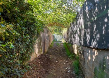 Giardino - Villa Via tre canali
 
38, Monreale - foto 32