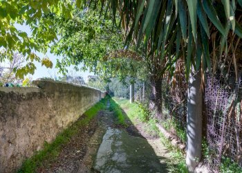 Giardino - Villa Via tre canali
 
38, Monreale - foto 34