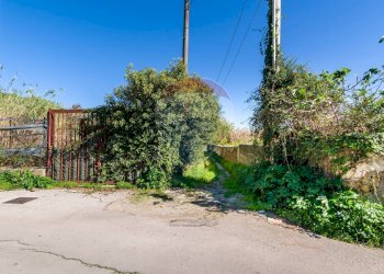 Giardino - Villa Via tre canali
 
38, Monreale - foto 35