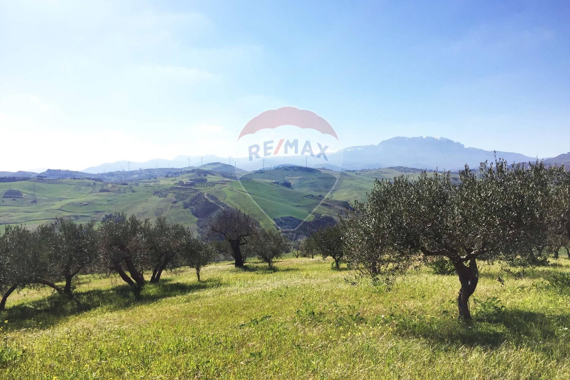 Vista delle montagne - Agricultural land Contrada Bagni Crisiola
 
snc, Marineo - photo 1