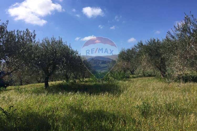 Vista delle montagne - Agricultural land Contrada Bagni Crisiola
snc, Marineo - photo 2