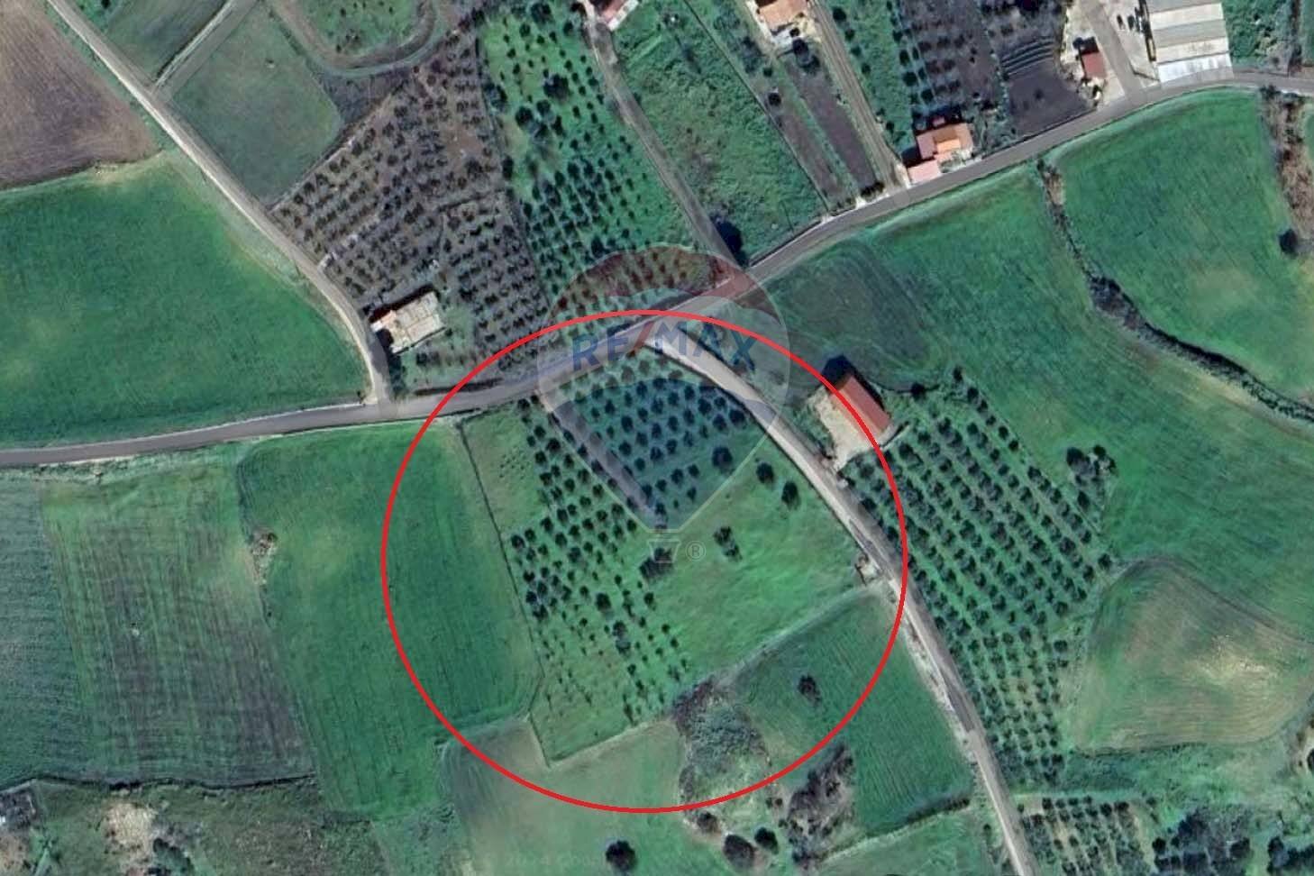 Posizione della mappa - Agricultural land Contrada Bagni Crisiola
 
snc, Marineo - floor plans 1