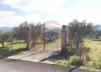 Giardino - Terreno agricolo Contrada Bagni Crisiola
 
snc, Marineo - foto 3