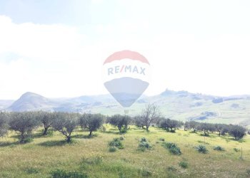 Vista delle montagne - Terreno agricolo Contrada Bagni Crisiola
 
snc, Marineo - foto 13