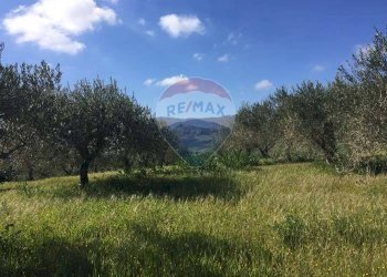Vista delle montagne - Terreno agricolo Contrada Bagni Crisiola
 
snc, Marineo - foto 2
