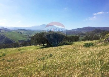 Vista delle montagne - Terreno agricolo Contrada Bagni Crisiola
 
snc, Marineo - foto 7