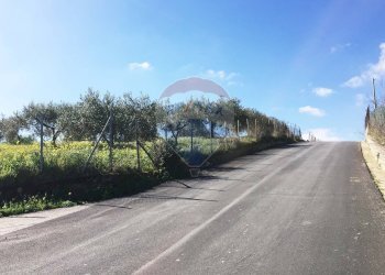 Edificio all\'aperto - Terreno agricolo Contrada Bagni Crisiola
 
snc, Marineo - foto 8