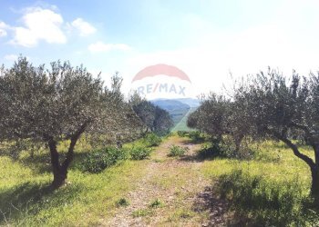 Giardino - Terreno agricolo Contrada Bagni Crisiola
 
snc, Marineo - foto 10