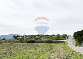 Giardino - Terreno agricolo Contrada Bagni Crisiola
 
snc, Marineo - foto 16