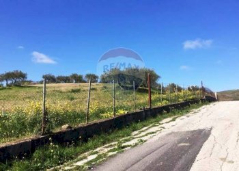 Giardino - Terreno agricolo Contrada Bagni Crisiola
 
snc, Marineo - foto 17