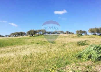 Giardino - Terreno agricolo Contrada Bagni Crisiola
 
snc, Marineo - foto 18