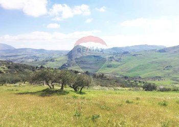 Vista delle montagne - Terreno agricolo Contrada Bagni Crisiola
 
snc, Marineo - foto 19