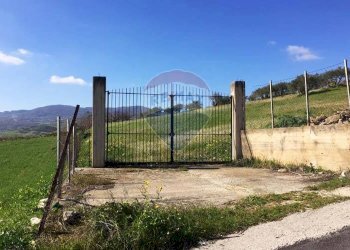 Giardino - Terreno agricolo Contrada Bagni Crisiola
 
snc, Marineo - foto 20