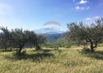 Vista delle montagne - Terreno agricolo Contrada Bagni Crisiola
 
snc, Marineo - foto 21