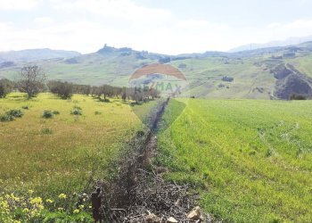 Vista delle montagne - Terreno agricolo Contrada Bagni Crisiola
 
snc, Marineo - foto 22