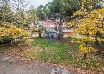 Giardino - Trilocale via madonna della via
 
221, Caltagirone - foto 20