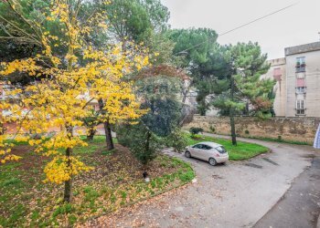 Giardino - Trilocale via madonna della via
 
221, Caltagirone - foto 22